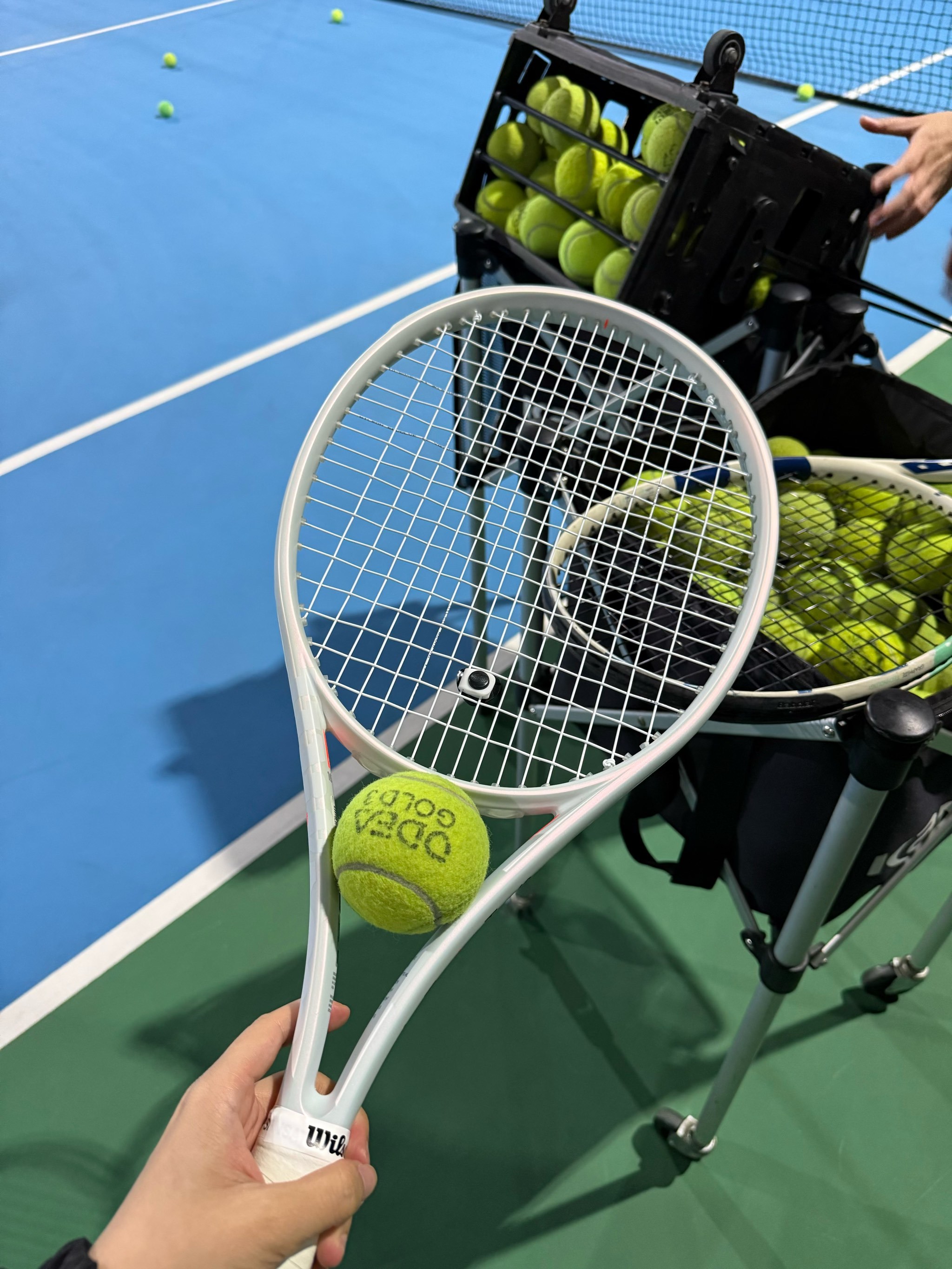 我们可以看 我们可以看