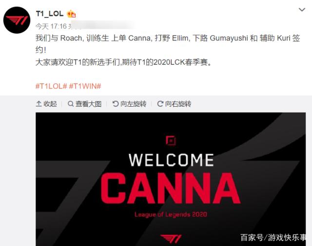 与身体优势 与身体优势