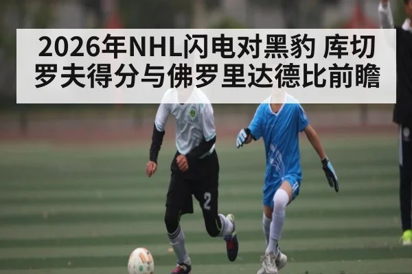 2026年NHL闪电对黑豹 库切罗夫得分与佛罗里达德比前瞻